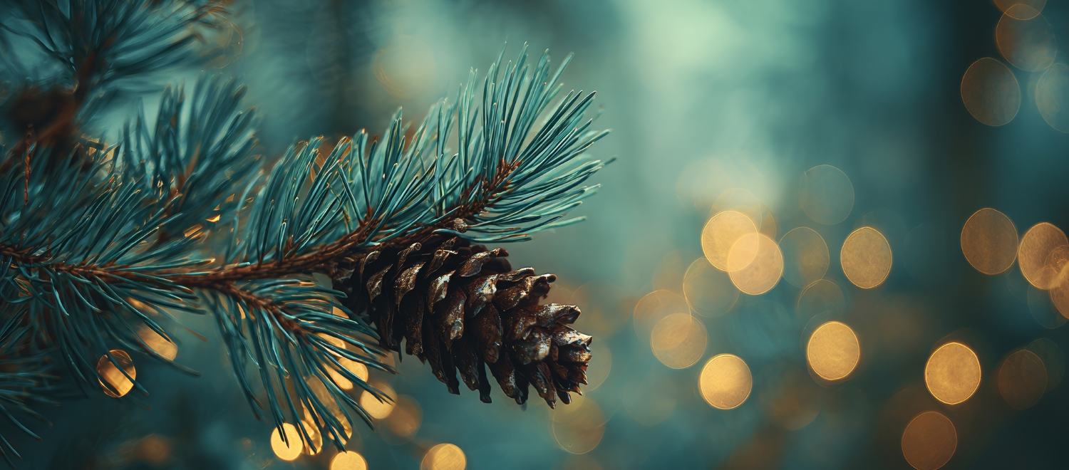 Heiligabend-Gottesdienst